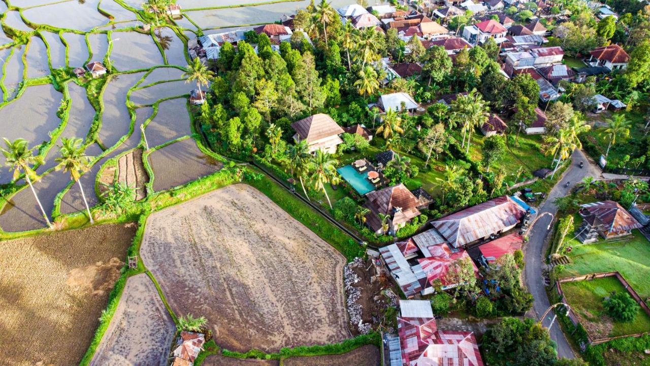 Villa Manuk Singaraja Buitenkant foto