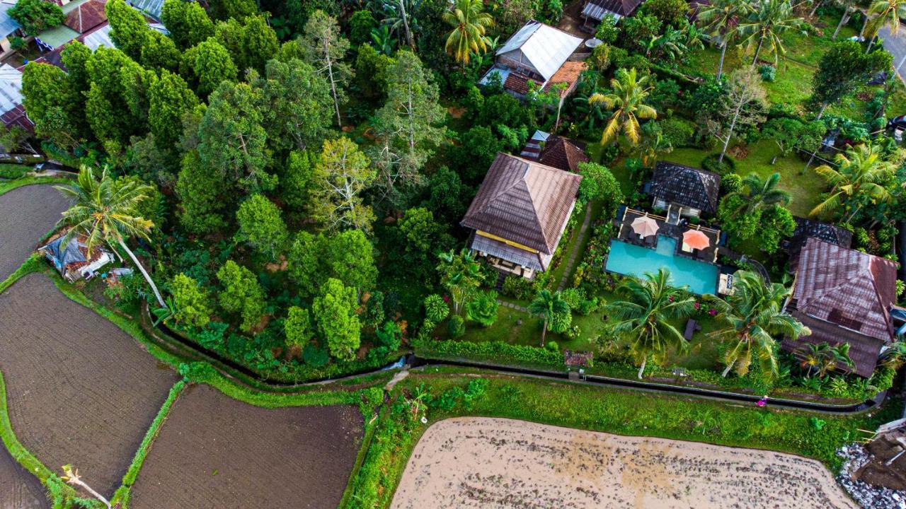 Villa Manuk Singaraja Buitenkant foto